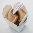 Fortune Cookie Booties